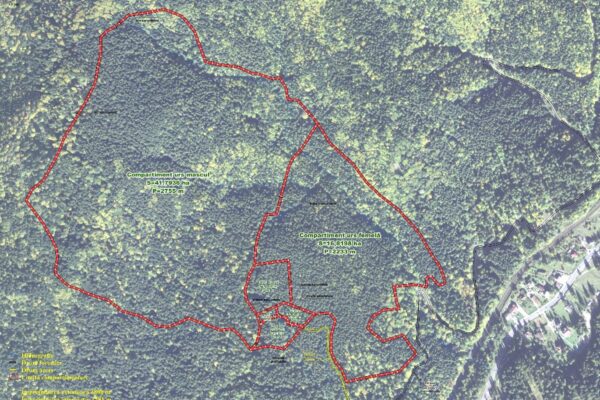 Implementarea Planului Naţional de acţiune pentru conservarea populaţiei de urs brun din România (cod SMIS 136899)