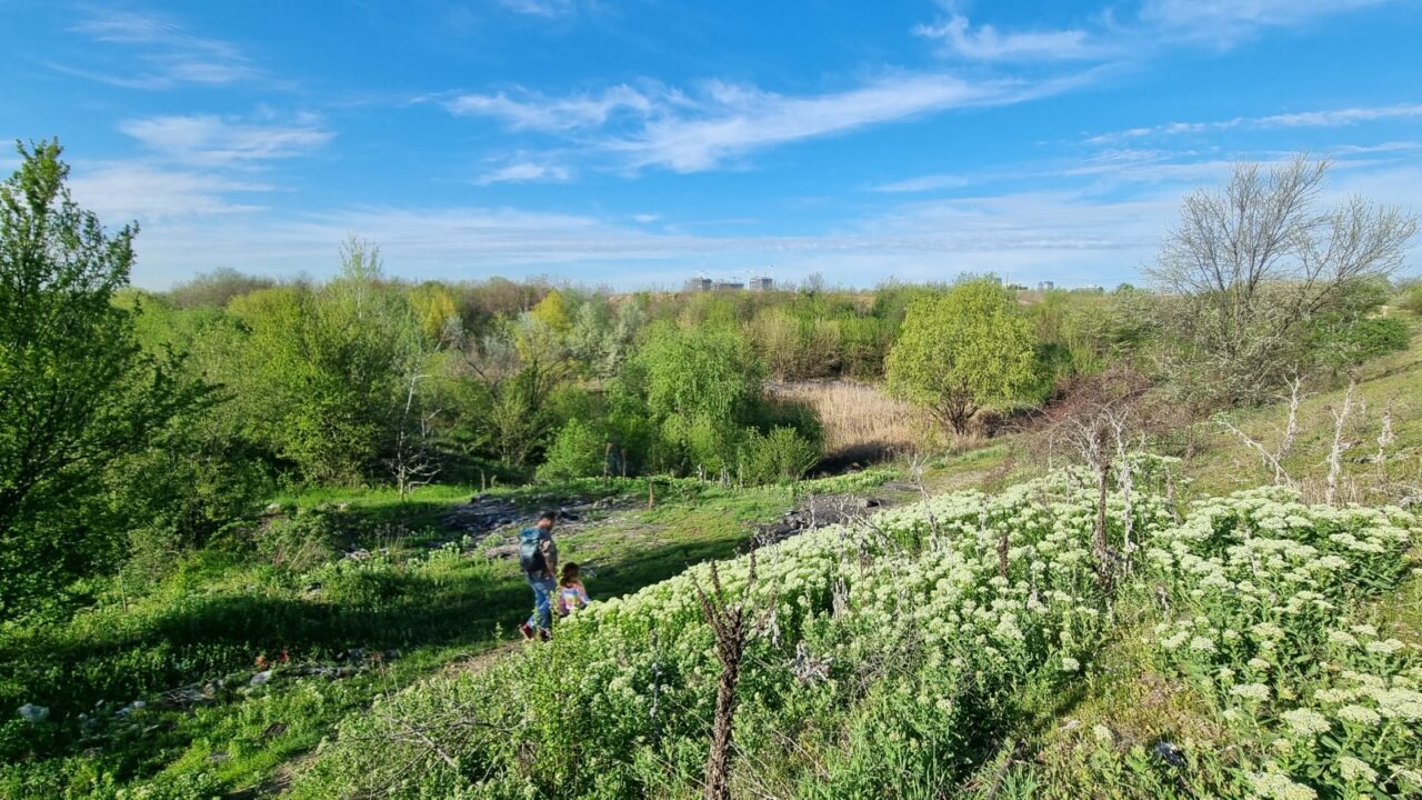 Bucureștiul