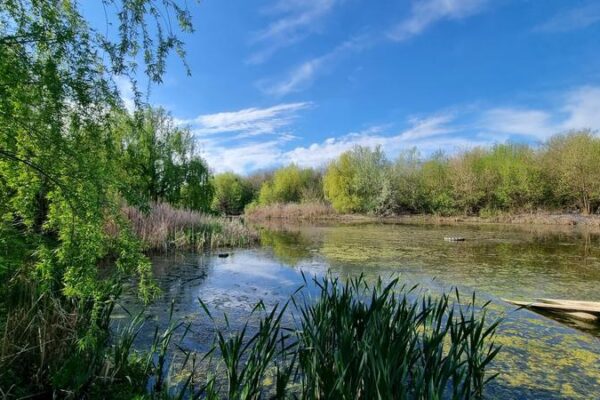 FOTO Bucureștiul poate avea un nou parc natural, în afară de Delta Văcărești. Unde este Valea Saulei, cu 10 hectare de „sălbăticie”