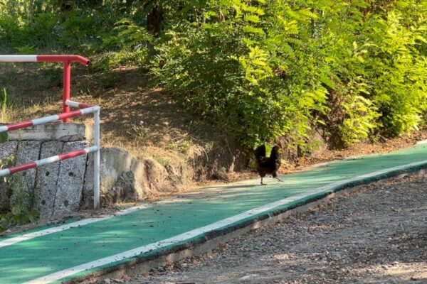 Combinaţie românească cu fonduri europene. Primarii au transformat pistele de biciclete în trotuare